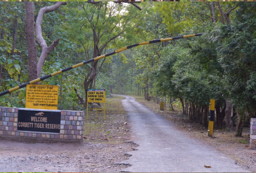  Corbett National Park