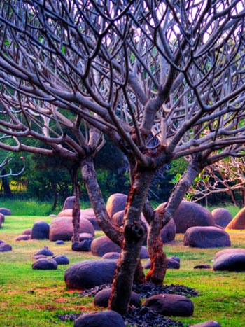 Pondicherry-1-1