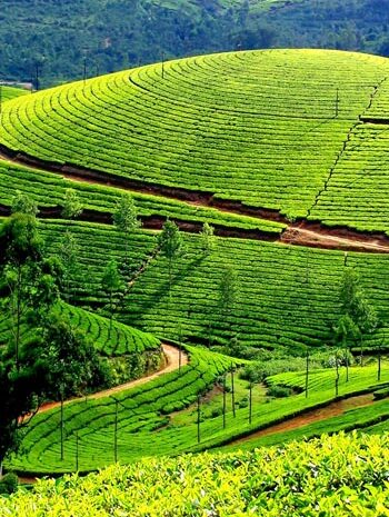 kerala-2
