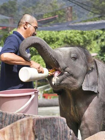 malaysia-3